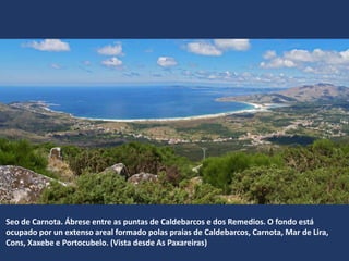 Seo de Carnota. Ábrese entre as puntas de Caldebarcos e dos Remedios. O fondo está
ocupado por un extenso areal formado polas praias de Caldebarcos, Carnota, Mar de Lira,
Cons, Xaxebe e Portocubelo. (Vista desde As Paxareiras)
 