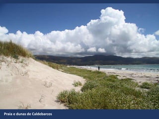 Praia e dunas de Caldebarcos
 