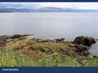 Punta Bardullas
 