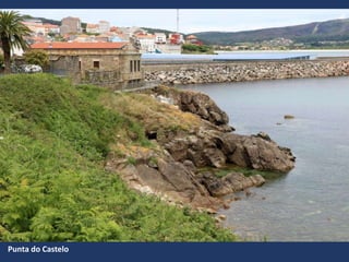 Punta do Castelo
 