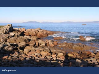 A Cangrexeira
 