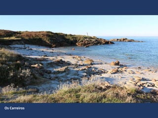 Os Carreiros
 