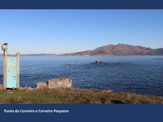 Punta do Corveiro e Corveiro Pequeno
 
