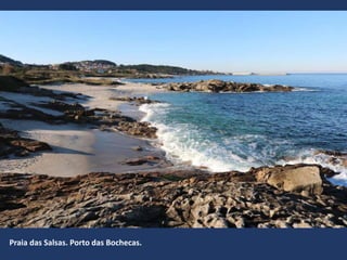 Praia das Salsas. Porto das Bochecas.
 