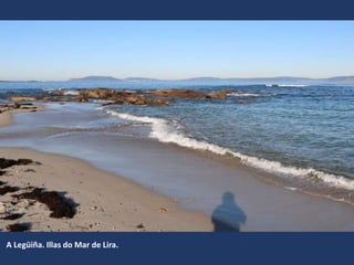 A Legüiña. Illas do Mar de Lira.
 