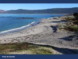 Praia de Sasebe
 