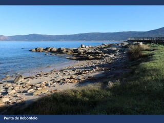 Punta de Rebordelo
 