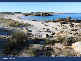 Praia da Gavota
 