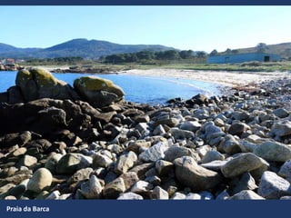 Praia da Barca
 