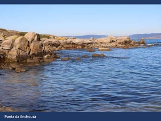 Punta da Enchousa
 