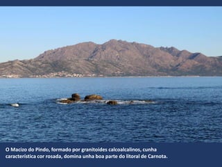 O Macizo do Pindo, formado por granitoides calcoalcalinos, cunha
característica cor rosada, domina unha boa parte do litoral de Carnota.
 
