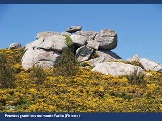 Penedos graníticos no monte Facho (Fisterra)
 