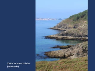 Xistos na punta Liñeiro
(Corcubión)
 