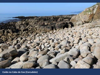 Coído no Cabo de Cee (Corcubión)
 