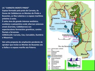 LIC “CARNOTA MONTE PINDO”
Espazo formado pola praia de Carnota, As
Dunas de Caldebarcos os Montes do Pindo e
Buxantes, as Illas Lobeiras e o espazo marítimo
próximo á costa.
É unha área de grande interese xeolóxico,
ecolóxico e paisaxístico onde alternan extensos
areais (Carnota, Caldebarcos) con
espectaculares formacións graníticas, canóns
fluviais e fervenzas.
CONCELLOS: Carnota, Cee, Corcubión, Dumbría
e Mazaricos.
Hai unha proposta de ampliación pendente de
aprobar que inclúe os Montes de Buxantes ata
o Xallas e o espazo mariño ata Fisterra.
 