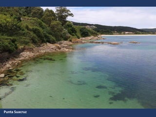 Punta Suacruz
 