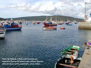Porto de Fisterra. A flota está formada por
pequenos barcos de baixura que utilizan diversas
artes de pesca coma o palangre, nasas, betas...
 