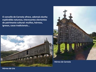 O concello de Carnota ofrece, ademais dunha
espléndida natureza, interesantes elementos
de patrimonio cultural: muíños, hórreos,
igrexas, casas tradicionais...
Hórreo de Lira
Hórreo de Carnota
 