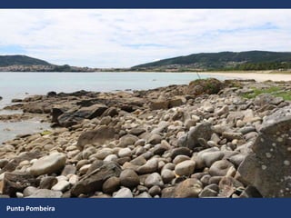 Punta Pombeira
 
