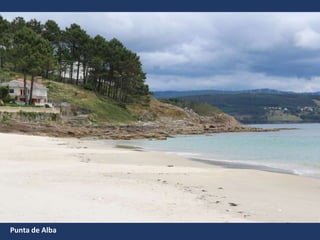 Punta de Alba
 