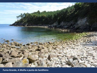 Furna Grande, A Moíña e punta do Sardiñeiro
 