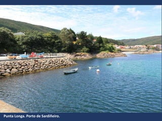 Punta Longa. Porto de Sardiñeiro.
 