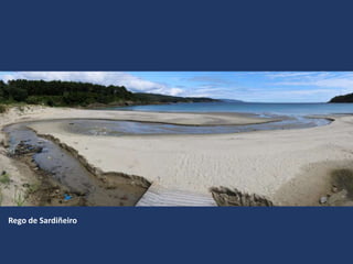 Rego de Sardiñeiro
 