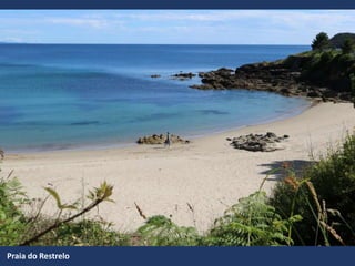 Praia do Restrelo
 