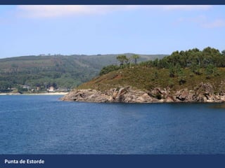 Punta de Estorde
 