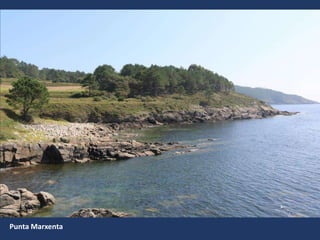 Punta Marxenta
 