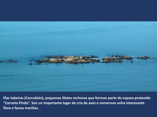 Illas lobeiras (Corcubión), pequenos illotes rochosos que forman parte do espazo protexido
“Carnota Pindo”. Son un importante lugar de cría de aves e conservan unha interesante
flora e fauna mariñas.
 
