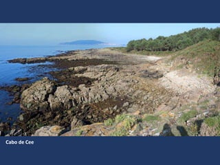 Cabo de Cee
 