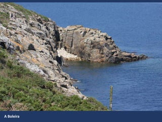 A Boleira
 