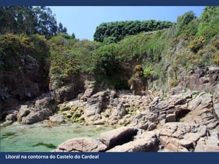 Litoral na contorna do Castelo do Cardeal
 
