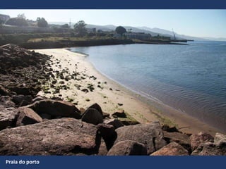 Praia do porto
 