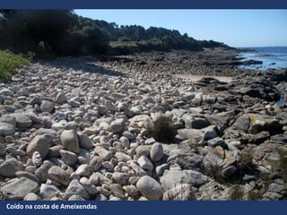 Coído na costa de Ameixendas
 