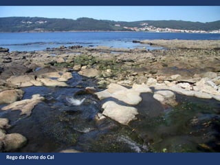 Rego da Fonte do Cal
 
