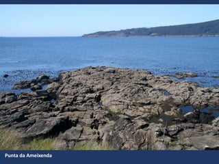 Punta da Ameixenda
 