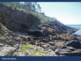 Punta do Cabezo
 