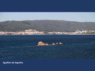 Agullóns de Sagrelos
 