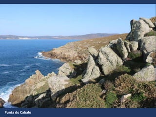 Punta do Cabalo
 