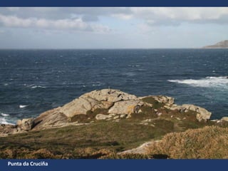 Punta da Cruciña
 