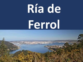 Ría de
Ferrol
 