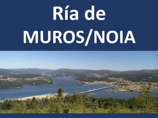 Ría de
MUROS/NOIA
 
