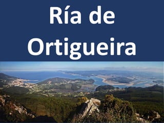 Ría de
Ortigueira
 
