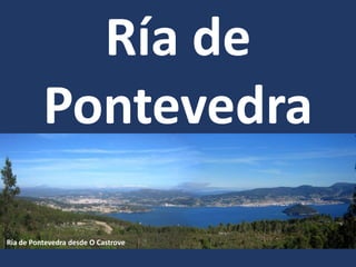 Ría de
Pontevedra
Ría de Pontevedra desde O Castrove
 