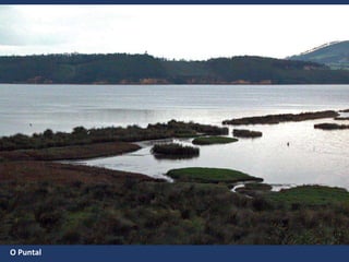 O Puntal
 
