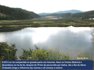 O EO é un río compartido en grande parte con Asturias. Nace en Fonteo (Baleira) e
desemboca na ría do Eo, despois de 79 km de percorrido por Galiza. Ata a Ría de Abres
(Trabada) chega a influencia das mareas e alí comeza o esteiro.
Esteiro do Eo
 