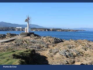 Punta da Cruz
 