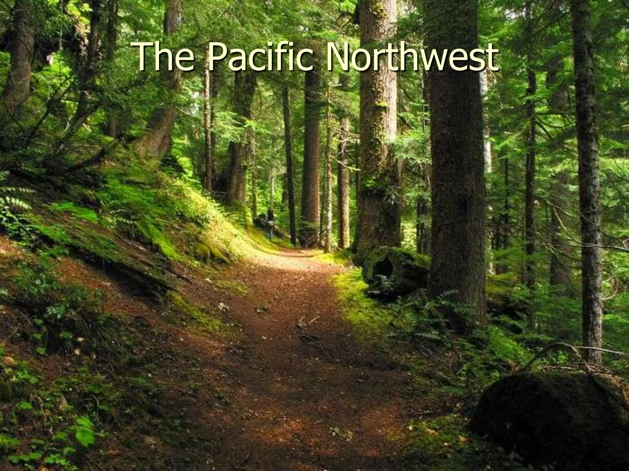The Pacific Northwest
 